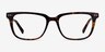 Esme Tortoise AcetateEyeglass Frames from EyeBuyDirect, Front View