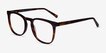 Promise Tortoise AcetateEyeglass Frames from EyeBuyDirect, Angle View