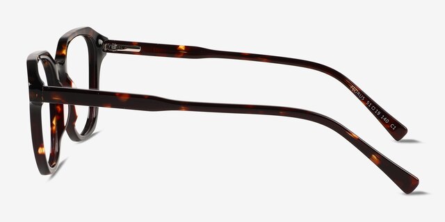 Florus Tortoise AcetateEyeglass Frames from EyeBuyDirect, Side View