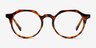 Monarda Tortoise AcetateEyeglass Frames from EyeBuyDirect, Front View
