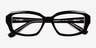 Caladium Black Crystal AcetateEyeglass Frames from EyeBuyDirect, Closed View