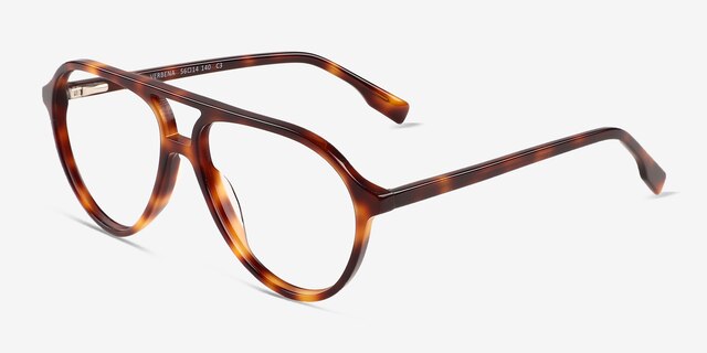 Verbena Tortoise AcetateEyeglass Frames from EyeBuyDirect, Angle View