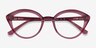 Cherry Crystal Pink AcetateEyeglass Frames from EyeBuyDirect, Closed View