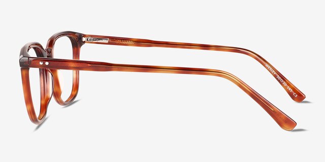 Wesley Tortoise AcetateEyeglass Frames from EyeBuyDirect, Side View