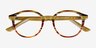 Expression Brown Yellow Striped AcetateEyeglass Frames from EyeBuyDirect, Closed View