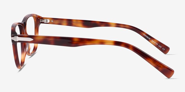 Harbor Tortoise AcetateEyeglass Frames from EyeBuyDirect, Side View