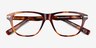 Harbor Tortoise AcetateEyeglass Frames from EyeBuyDirect, Closed View