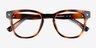 Mulligan Tortoise PlasticEyeglass Frames from EyeBuyDirect, Closed View