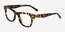 Apres Spotty Tortoise AcetateEyeglass Frames from EyeBuyDirect, Angle View