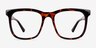 Rowen Shiny Tortoise Eco-friendlyEyeglass Frames from EyeBuyDirect, Front View