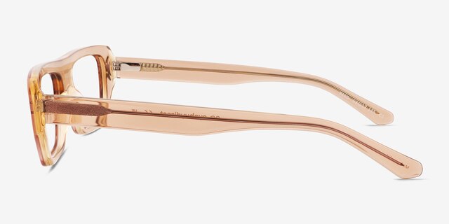 Reed Crystal Brown AcetateEyeglass Frames from EyeBuyDirect, Side View