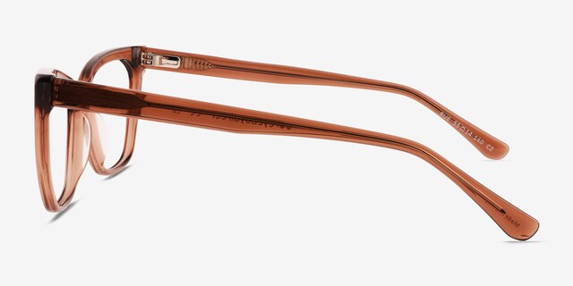 Rue Crystal Brown AcetateEyeglass Frames from EyeBuyDirect, Side View