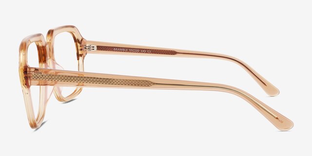 Bramble Crystal Brown AcetateEyeglass Frames from EyeBuyDirect, Side View