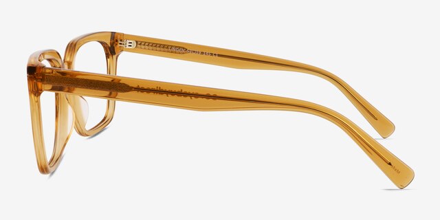 Linden Crystal Brown AcetateEyeglass Frames from EyeBuyDirect, Side View