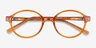 Jabberwocky Clear Brown PlasticEyeglass Frames from EyeBuyDirect, Closed View