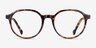 Frolic Tortoise PlasticEyeglass Frames from EyeBuyDirect, Front View