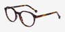 Frolic Tortoise PlasticEyeglass Frames from EyeBuyDirect, Angle View