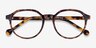 Frolic Tortoise PlasticEyeglass Frames from EyeBuyDirect, Closed View