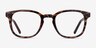 Hullabaloo Tortoise PlasticEyeglass Frames from EyeBuyDirect, Front View