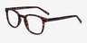 Hullabaloo Tortoise PlasticEyeglass Frames from EyeBuyDirect, Angle View