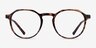 Chichi Tortoise PlasticEyeglass Frames from EyeBuyDirect, Front View