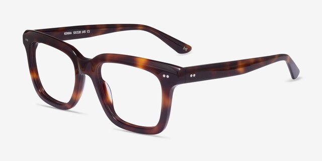 Kenna Tortoise AcetateEyeglass Frames from EyeBuyDirect, Angle View