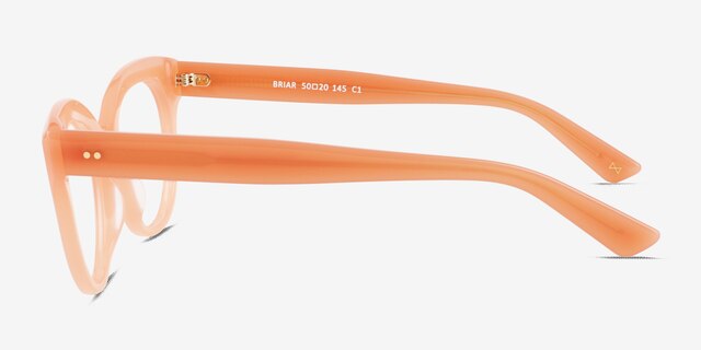 Briar Orange AcetateEyeglass Frames from EyeBuyDirect, Side View