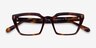 Caitlin Tortoise AcetateEyeglass Frames from EyeBuyDirect, Closed View