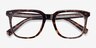 Kerr Tortoise Clear AcetateEyeglass Frames from EyeBuyDirect, Closed View
