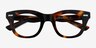 Ernst Shiny Tortoise AcetateEyeglass Frames from EyeBuyDirect, Closed View