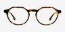 Discord Tortoise Clear AcetateEyeglass Frames from EyeBuyDirect, Front View