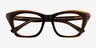 Havoc Black Tortoise AcetateEyeglass Frames from EyeBuyDirect, Closed View