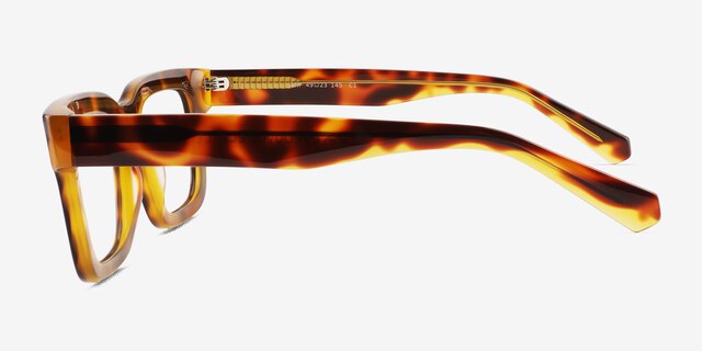 Jam Clear Tortoise AcetateEyeglass Frames from EyeBuyDirect, Side View