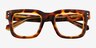 Jam Clear Tortoise AcetateEyeglass Frames from EyeBuyDirect, Closed View