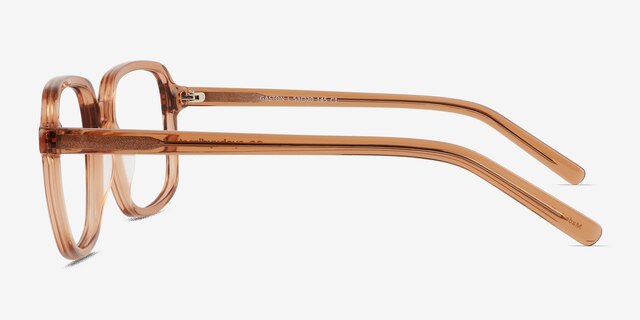 Gaston Clear Brown AcetateEyeglass Frames from EyeBuyDirect, Side View