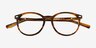 Lit Tortoise AcetateEyeglass Frames from EyeBuyDirect, Closed View
