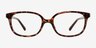 Ferb Tortoise PlasticEyeglass Frames from EyeBuyDirect, Front View