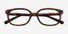 Ferb Tortoise PlasticEyeglass Frames from EyeBuyDirect, Closed View