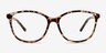 Sloane Light Tortoise PlasticEyeglass Frames from EyeBuyDirect, Front View