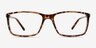 Sterling Tortoise PlasticEyeglass Frames from EyeBuyDirect, Front View
