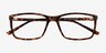 Sterling Tortoise PlasticEyeglass Frames from EyeBuyDirect, Closed View