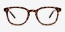 Tegan Tortoise PlasticEyeglass Frames from EyeBuyDirect, Front View