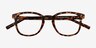 Tegan Tortoise PlasticEyeglass Frames from EyeBuyDirect, Closed View