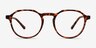 Monti Matte Tortoise PlasticEyeglass Frames from EyeBuyDirect, Front View
