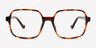 Lior Tortoise PlasticEyeglass Frames from EyeBuyDirect, Front View