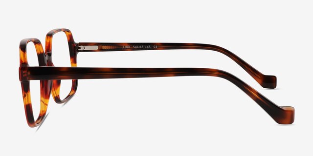 Lior Tortoise PlasticEyeglass Frames from EyeBuyDirect, Side View