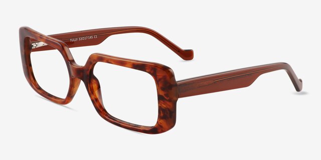 Tully Tortoise PlasticEyeglass Frames from EyeBuyDirect, Angle View