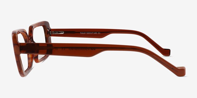 Tully Tortoise PlasticEyeglass Frames from EyeBuyDirect, Side View
