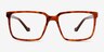 Seraph Tortoise PlasticEyeglass Frames from EyeBuyDirect, Front View