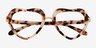 Ever Ivory Tortoise AcetateEyeglass Frames from EyeBuyDirect, Closed View